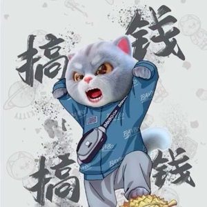 Meet your Posher, Lin